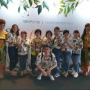 인셀덤스타 - 경산시 | 인셀덤스타