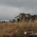 [봄여름가을겨울] 잇츠힐/이츠힐 펜션 바닐라룸 실사 후기~