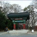 추원모차골 이미지