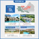 도깨비풀 | 베트남 푸꾸옥 모벤픽 풀빌라 푸꾸옥 도깨비 예약 후기, 대가족 2월 푸꾸옥 여행 풀빌라 숙소 고민