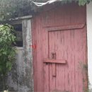 동일리-10 이미지