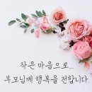 짱태권도 이미지