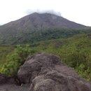 고대1117 이미지