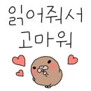 대천쥬얼리펜션 이미지