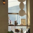 화순보건소 | [전남_화순] 소금빵 맛집 화순 카페 ‘아드두르’