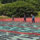 청정해역 이미지