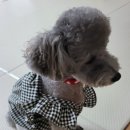 59독 이미지