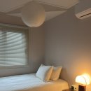 퐁낭아래 1978 이미지