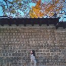 우리은행 횡단보도 | 25.11.15.토 :: 더링크호텔 웨딩 하객 꼼꼼 후기 (내가 본 더링크웨딩의 모든 것 ㅋㅋㅋㅋ)