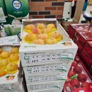 와우펫마트 | 주간일상 9월 넷째주