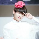 태형 이미지
