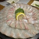 대구 범어동 맛집 만덕수산, 자연산 스페셜 모둠회가 감동인 곳! 고급진 룸에서 프라이빗하게 즐기는...