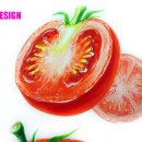 디자인토마토 이미지