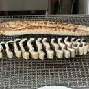 운길산장어 | 운길산 콩마을장어 남양주 장어 맛집 자전거 타고 갔다가 초벌 서비스 받은 몸보신 후기