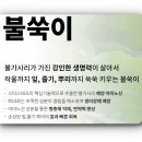 이온테크 이미지