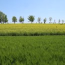 축동경로당 이미지