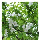 초록마을펜션 이미지