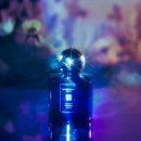 문릿(Moonlit) 이미지