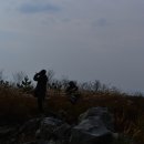 순천만 갈대밭 이미지