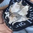 이가들마루 이미지