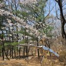 김창환 동산의추억 이미지