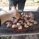 산우 농장 이미지