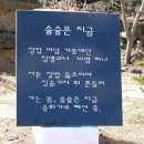솔숲