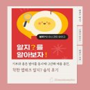 이제테크 제2발전소 | 기부와 용돈벌이를 동시에! 2년째 애용 중인 착한 앱테크 알지? 솔직후기