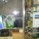 포항시남구33 네이버블로그