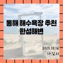 한섬해안길 | [동해가볼만한곳/한섬해변]동해시 가볼만한 곳 - 한섬해수욕장 일출, 포토존