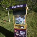 양산동원로얄CC/ 5월 페어웨이 상태/ 3부티 그린피 안내