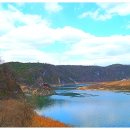 봉우리순대강순대