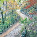 용소길 이미지