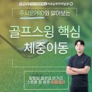 스텝스윙(step swing) : 체중이동과 전환동작(Transition)을 위한 연습법 | [서초동골프연습장/서초동골프레슨] 골프 스윙의 핵심, 체중 이동 제대로 알고 계신가요?