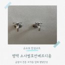 소사벌호반베르디움 정문 | 소사벌호반베르디움 평택탄성코트 베란다 내구성 올리는 페인트 시공