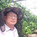 김종우 농장 이미지