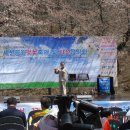 가수세천 이미지