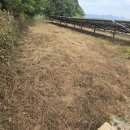 효심 태양광발전소 이미지