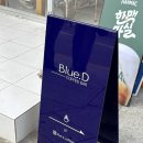 책 읽기 좋은 동명동 카페 블루드 커피 및 디저트 후기