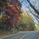 옥상파티 이미지