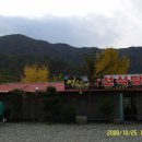 금산칼국수 이미지