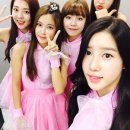 베리 이미지