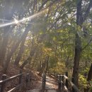 둘레길1구간 | 북한산 둘레길 1구간 소나무숲길, 2구간 순례자길, 3구간 흰구름길의 화계사까지 가는 법과 트레킹 후기