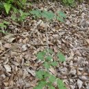 효원농장 이미지