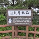 소남머리 이미지