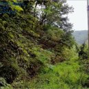 공주시이인면신흥보건진료소 이미지