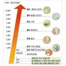 방사능유출대비-방진마스크/면체마스크/보호우의 방사능유출대비 안전용품 이미지