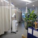 샤론약국 | 샤론파스 써본 후기 겸 관절염 잡은 방법