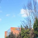 새자람작은도서관 | 내당도서관 방문후기 카페 부럽지 않은 분위기 좋은 도서관