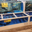 동부회센타 이미지